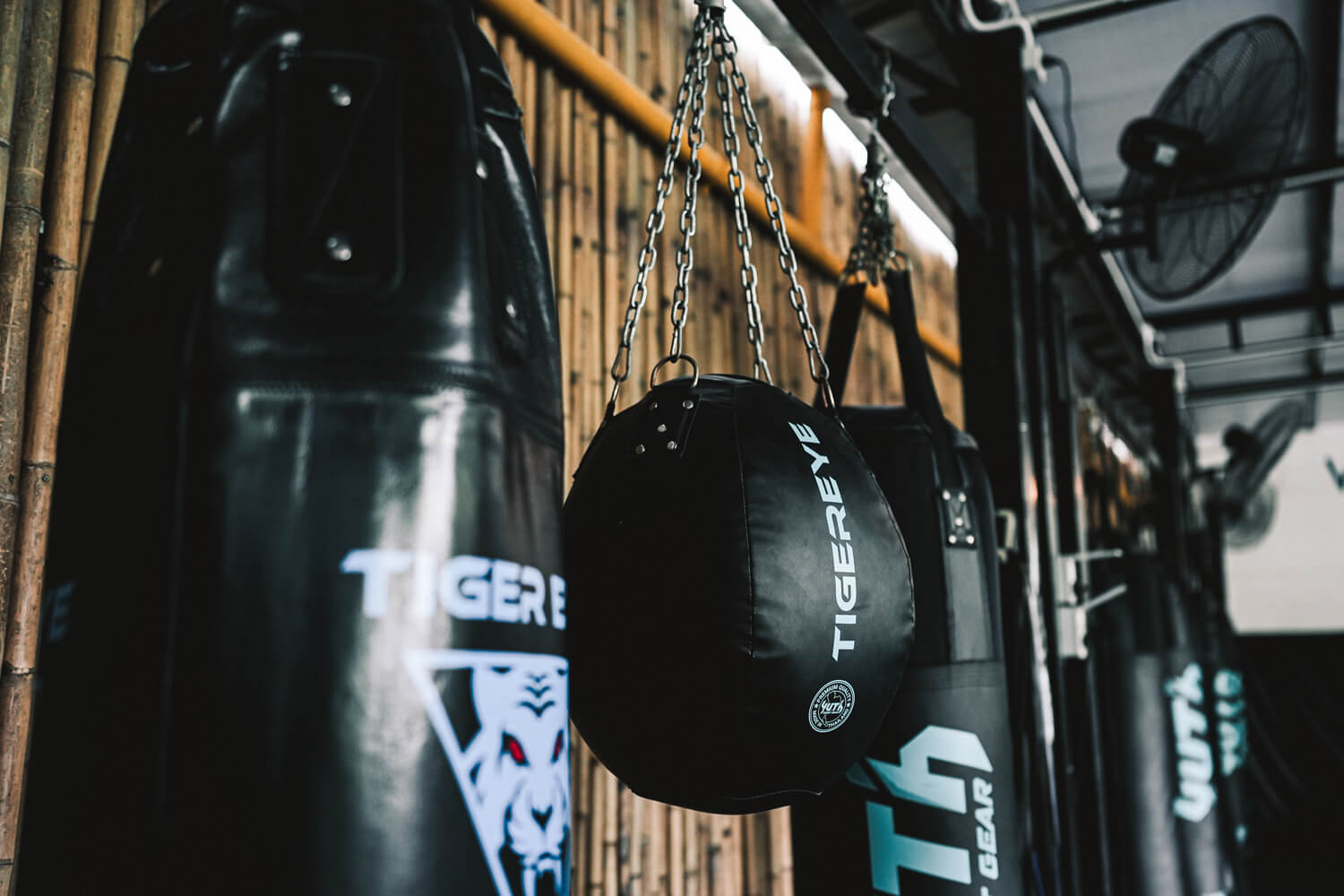 Heavy bags hanging in the open-air training area at Tiger Eye